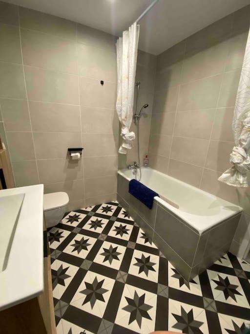 Charmant Studio Idealement Place Et Paisible ! Oloron-Sainte-Marie Dış mekan fotoğraf