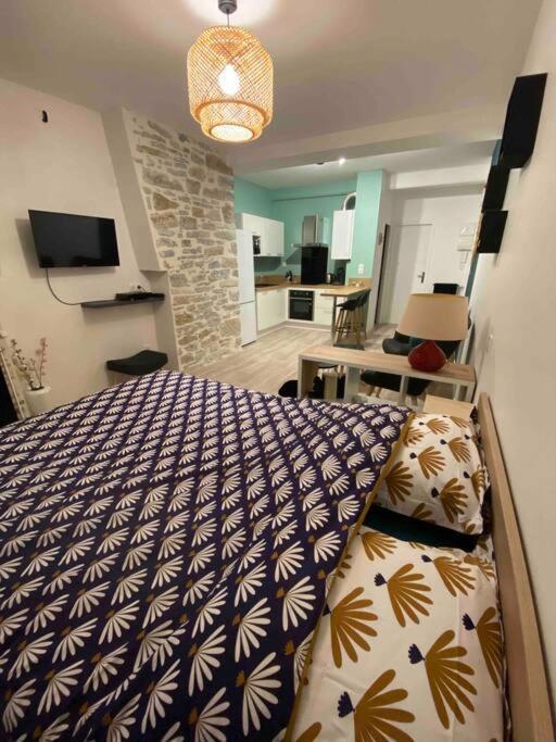 Charmant Studio Idealement Place Et Paisible ! Oloron-Sainte-Marie Dış mekan fotoğraf